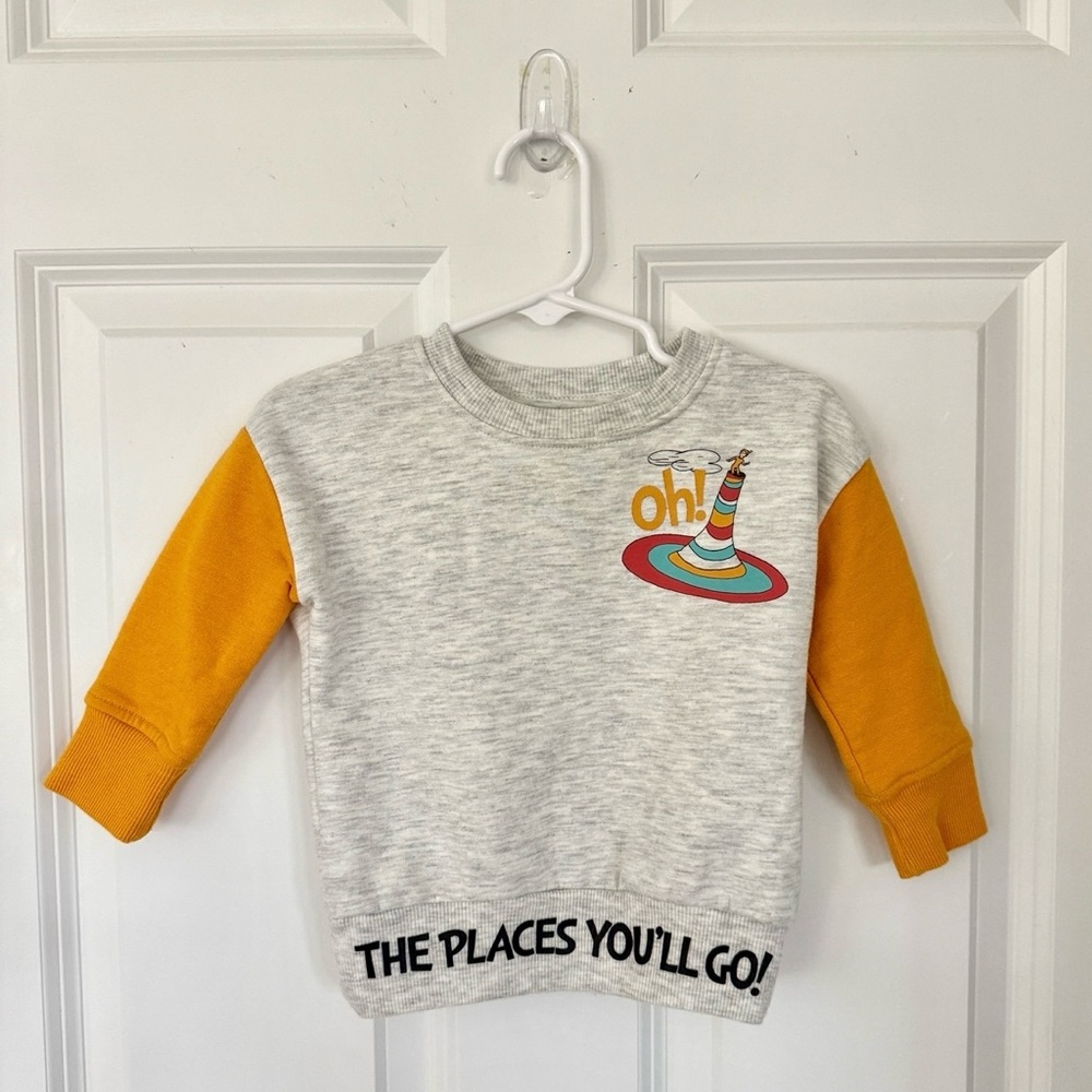 Dr Seuss Pull over Sweater - Long Sleeve Gray Yellow - Size 12 months